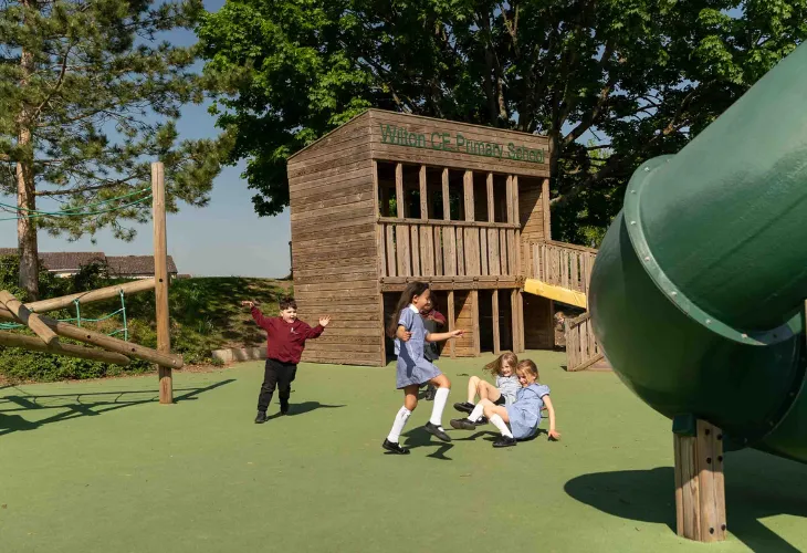 Case study: Wilton image